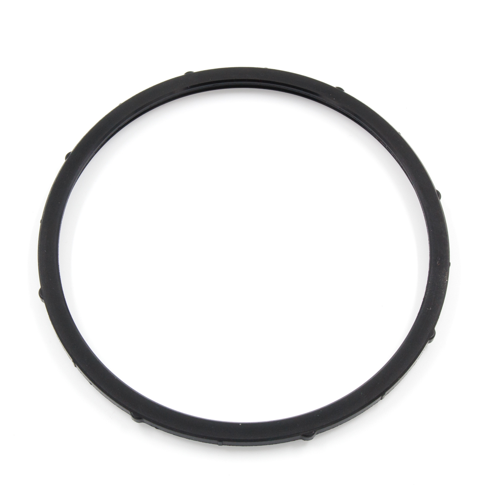 FZ6S Fazer Fuel Pump Sealing O-ring - Genuine