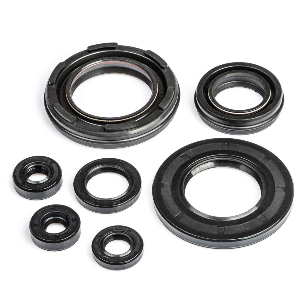 RD250F 1979 Engine Oil Seal Kit