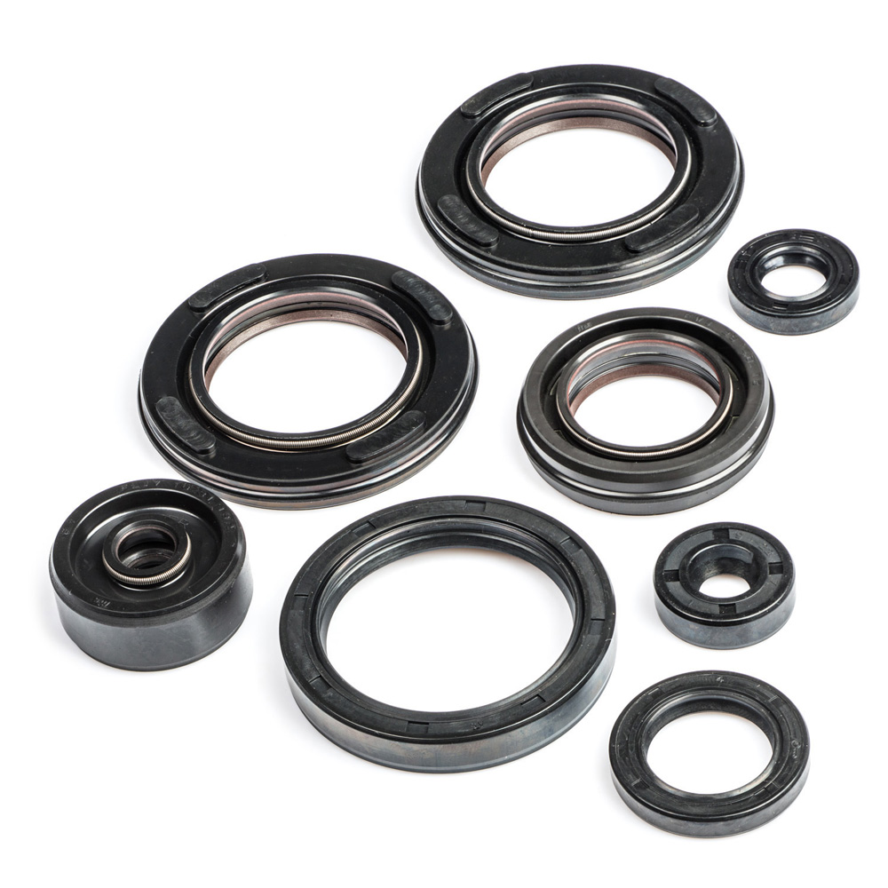 RD500LC Engine Oil Seal Kit