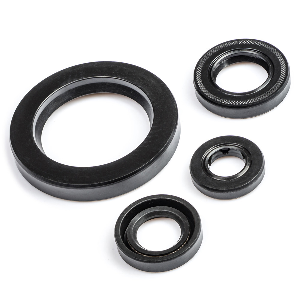 XV535 Virago Engine Oil Seal Kit