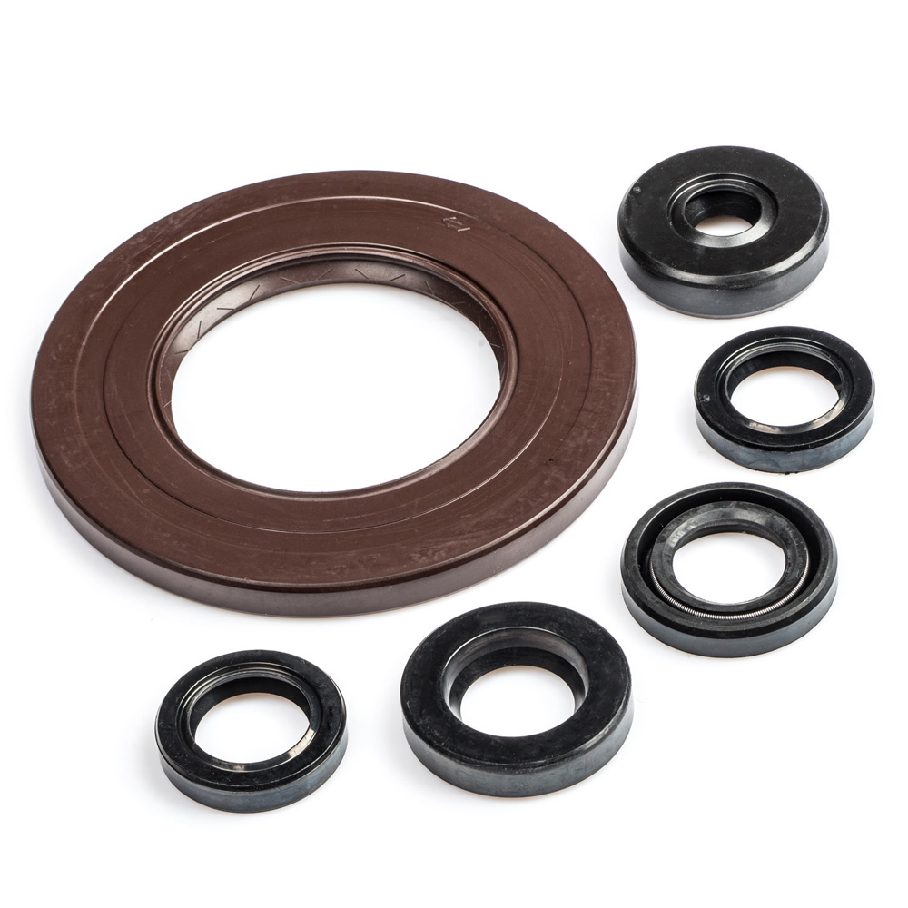 FZR1000 EXUP Engine Oil Seal Kit