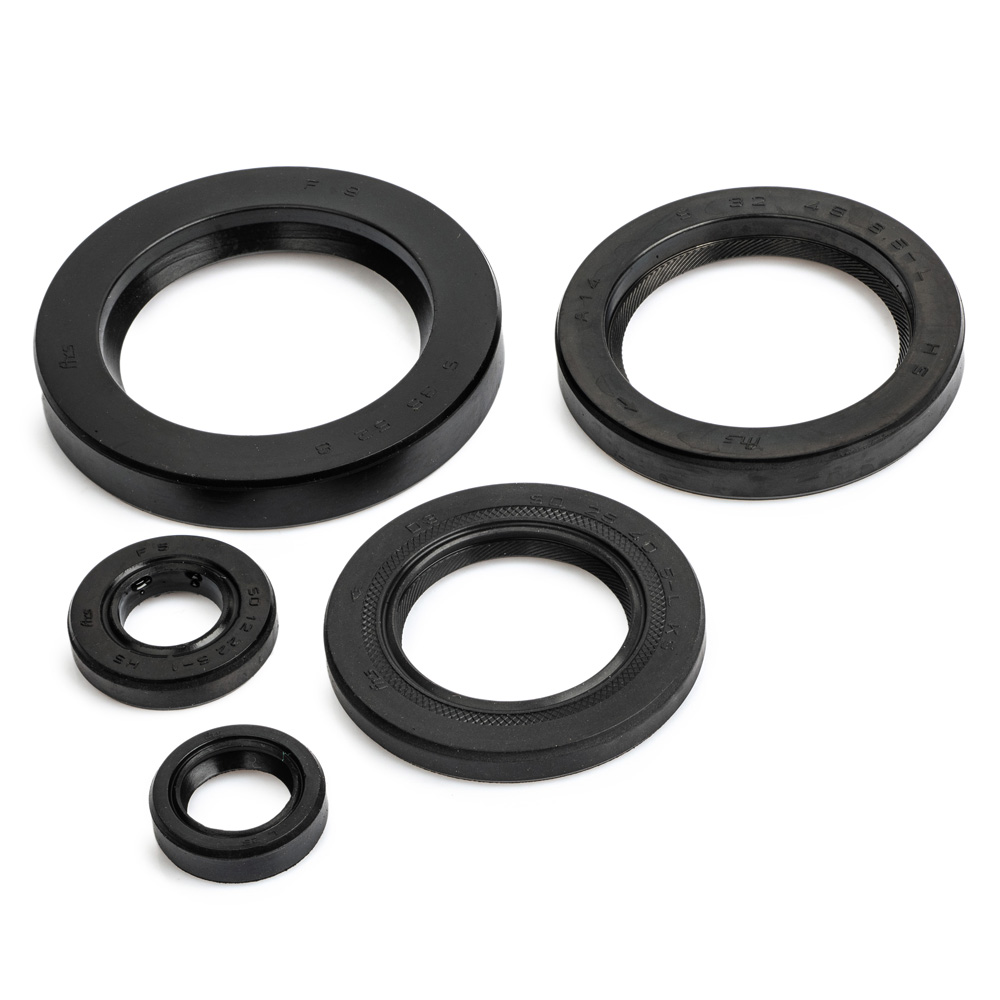 XJ900 Engine Oil Seal Kit