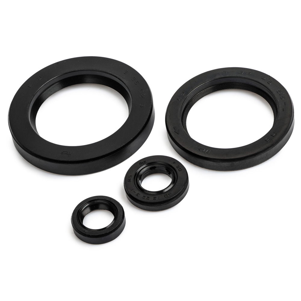 XJ900S Diversion Engine Oil Seal Kit 1995-1997