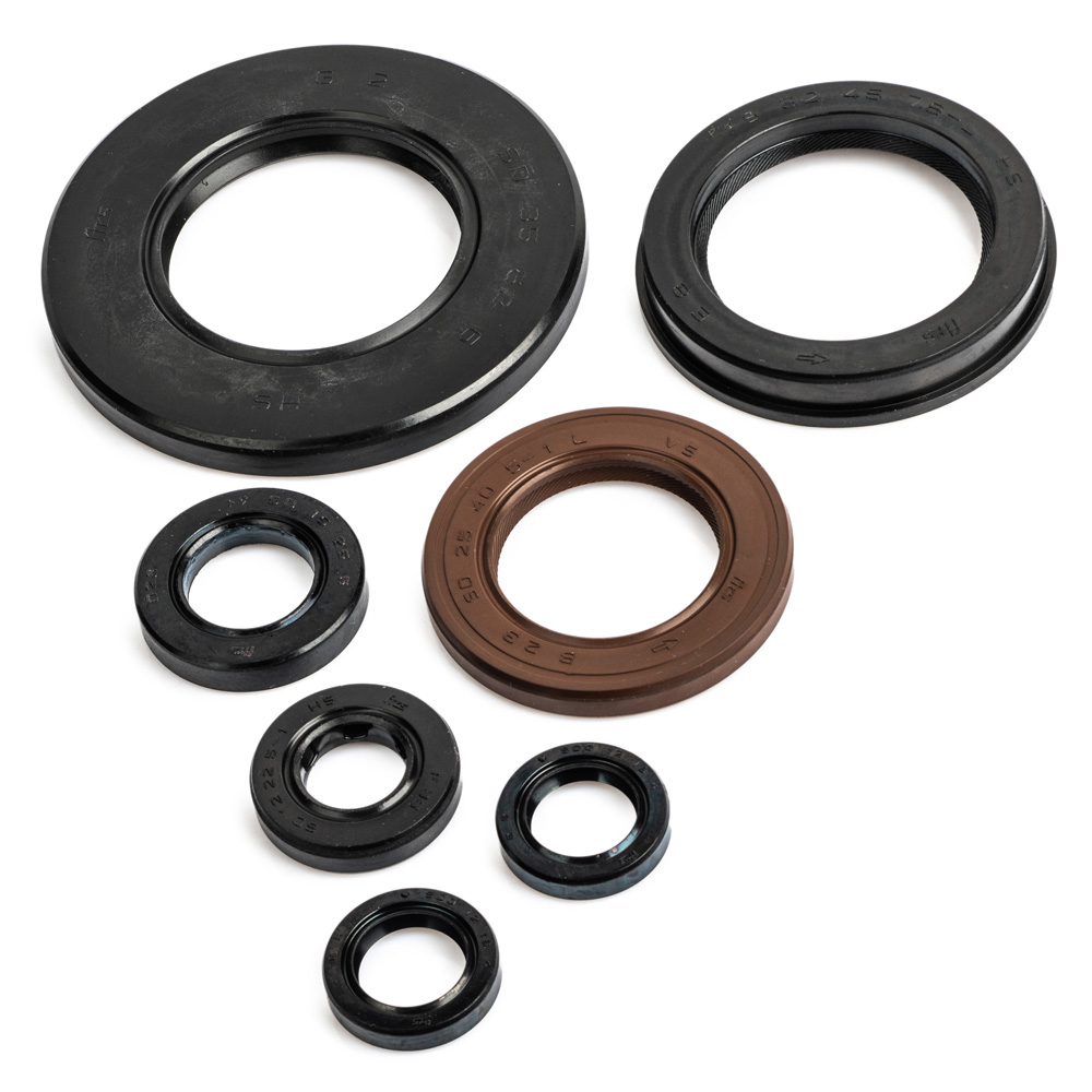 XJ600S Engine Oil Seal Kit 1997-1999