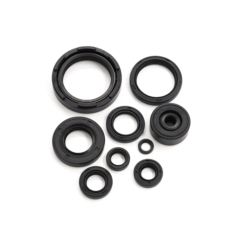 WR250Z Engine Oil Seal Kit