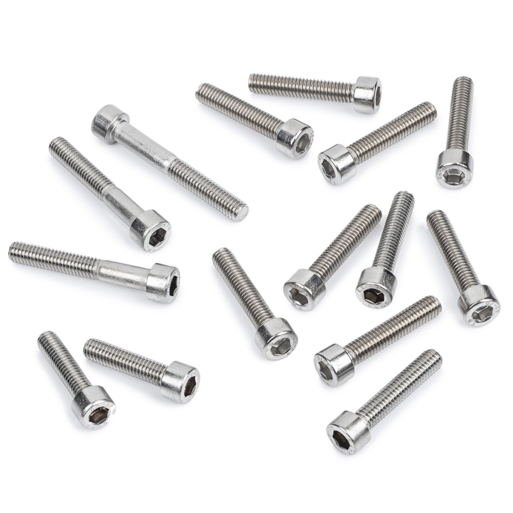 TY80 Stainless Steel Casing Screw Kit