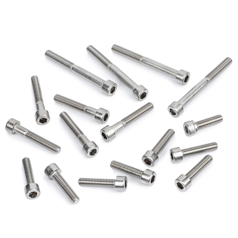 TY125 Stainless Steel Casing Screw Kit