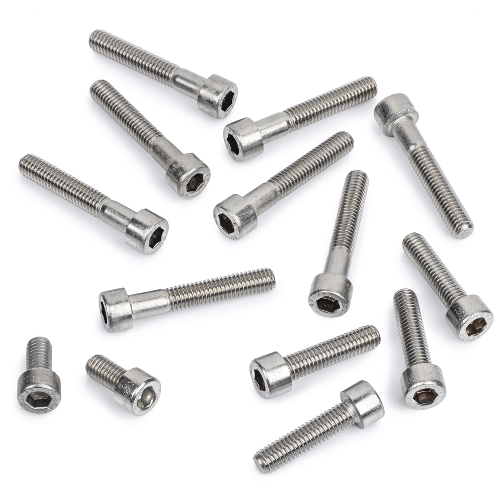 TY250R Stainless Steel Casing Screw Kit