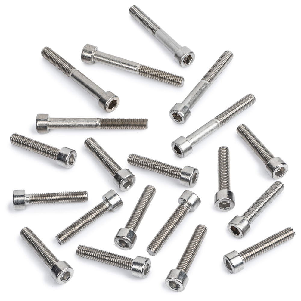 TY250A Stainless Steel Casing Screw Kit